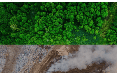 Can you imagine a world without waste… Mycocycle can…