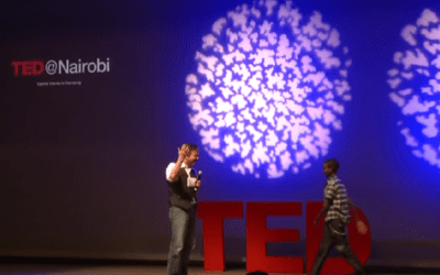 Lion Lights Save Lions