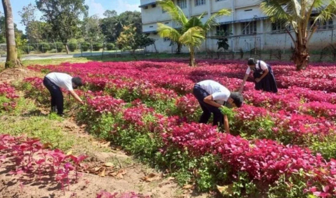A School for Sustainability