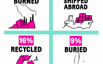 The Big Plastic Count